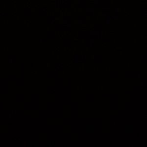 Meet your Posher, Heba